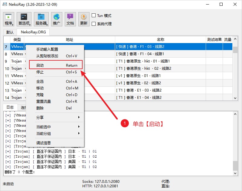 NekoRay 启动节点